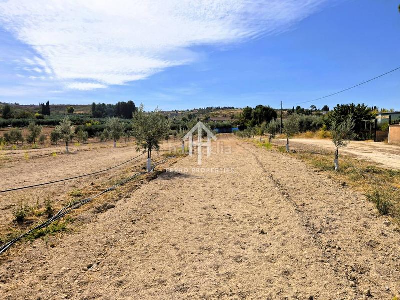 Foto d25ccf63-a161-48eb-a0d4-2d64b062db90. Finca rústica a Moraleda de Zafayona