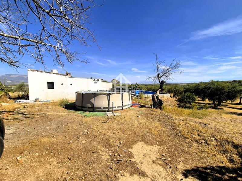 Foto 22fae755-97b5-45d9-b41d-c38e6cd9455f. Finca rústica a moraleda 1 a Moraleda de Zafayona