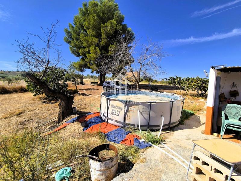 Foto 3e4ab2c3-c2c5-4ca0-8f41-4e0d4d7e125f. Finca rústica a moraleda 1 a Moraleda de Zafayona