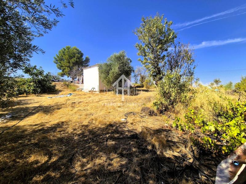 Foto 4d0f826b-af9f-4bb2-a90a-fdf4179cdd6d. Finca rústica a moraleda 1 a Moraleda de Zafayona