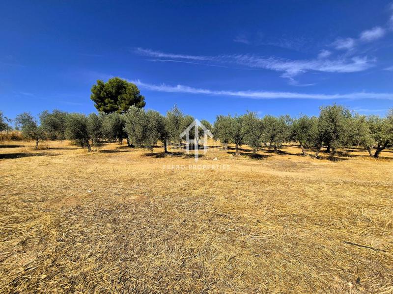 Foto 7d3295ed-81a9-49f1-85c6-08f8bfae3a2f. Finca rústica a moraleda 1 a Moraleda de Zafayona