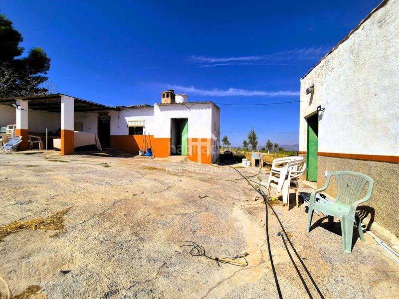 Foto 8de57a6c-e89d-4b36-b11c-c06df404202c. Finca rústica a moraleda 1 a Moraleda de Zafayona