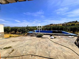 Propriété à Moraleda de Zafayona. Venta de finca rústica en moraleda de zafayona