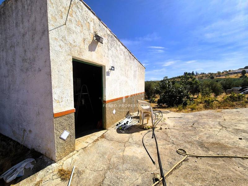 Foto c41628fb-82f7-446d-a534-eac6b23f5cfa. Finca rústica a moraleda 1 a Moraleda de Zafayona