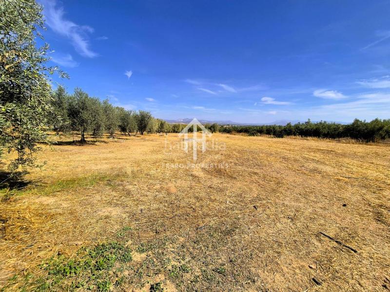 Foto f149b30d-13f8-4217-a5cd-51590bfbaf99. Finca rústica a moraleda 1 a Moraleda de Zafayona