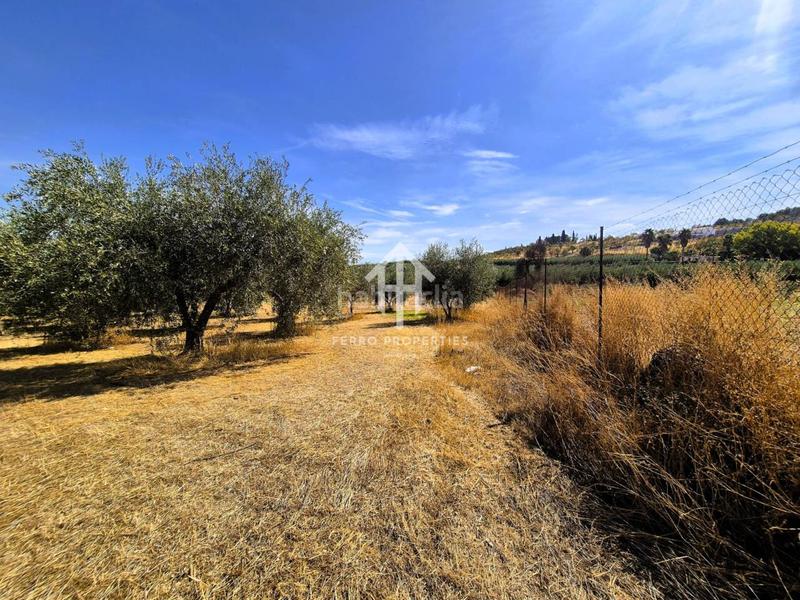 Foto f5046f70-aabb-46fb-ae8d-96d44251ec34. Finca rústica a moraleda 1 a Moraleda de Zafayona