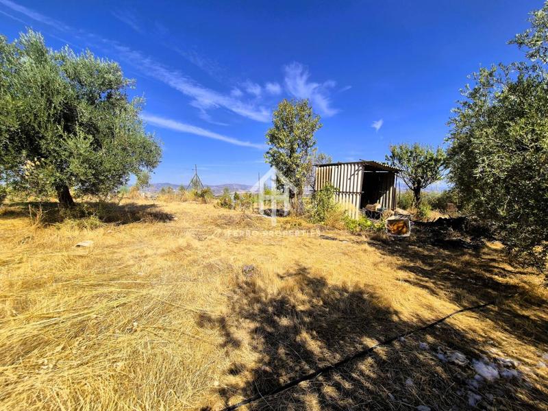 Foto f56742df-7240-4fce-b64d-e15513e18219. Finca rústica a moraleda 1 a Moraleda de Zafayona