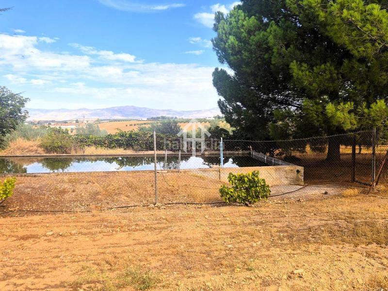 Foto ae551b4b-b24e-412c-bdc7-b590833b1bba. Finca rústica a Moraleda de Zafayona