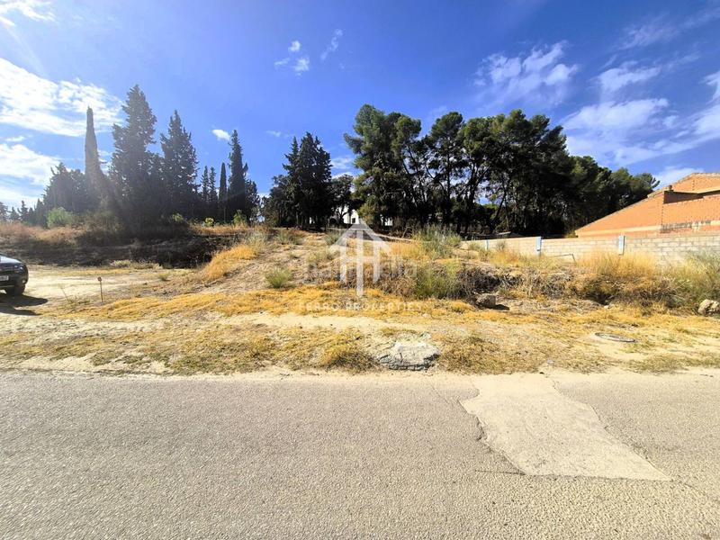 Foto d1df9c46-b63c-4a35-9396-d696adb48c5e. Terrain industriel dans Moraleda de Zafayona