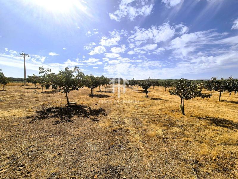 Foto 6b0accff-48b2-492c-9bd2-9bc05fa79783. Propriété dans moraleda 2 dans Moraleda de Zafayona