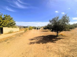 Finca rústica a Moraleda de Zafayona. Finca rústica en venta  moraleda de zafayona