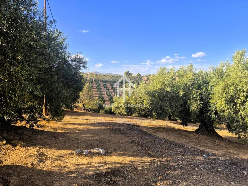 Foto 1f9713b3-0447-4403-af1e-5907cab79e3d. Propriété dans Loja