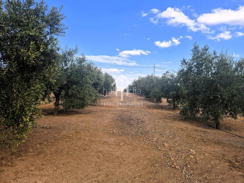 Foto 3b6bb866-62b6-4d51-a8fd-a830ebbaec34. Propriété dans Loja