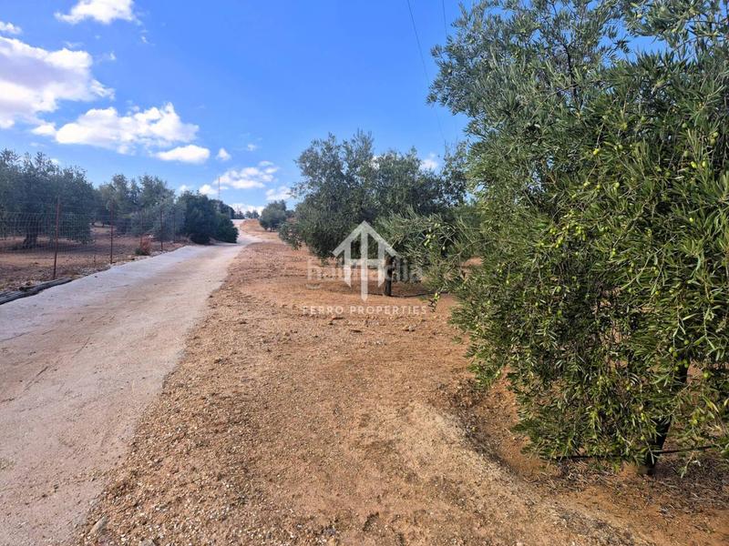 Foto 83c90e04-1ab9-45ba-a709-d89f5ac67832. Propriété dans Loja