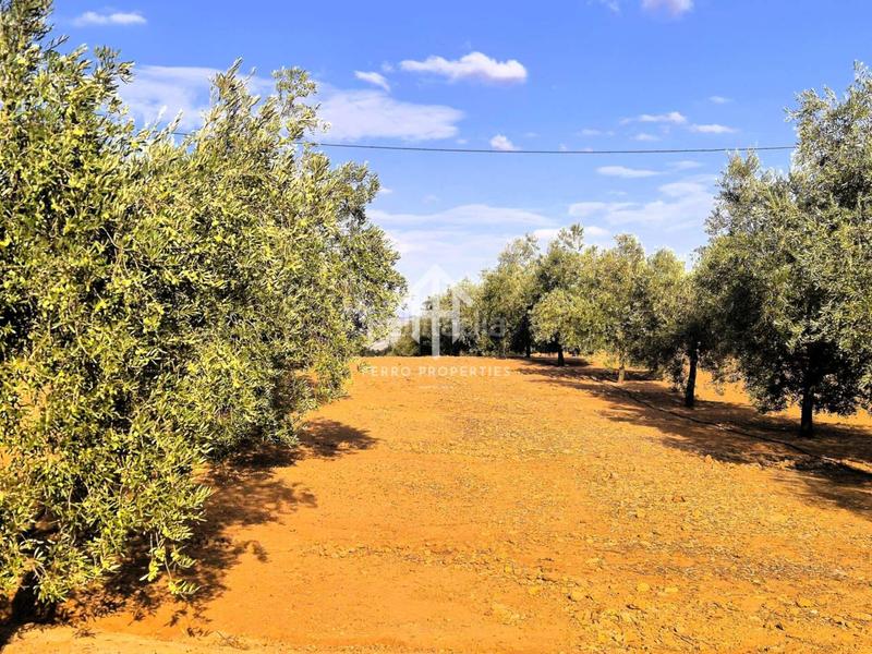 Foto 84a46555-61a0-4161-a38c-4469db489157. Propriété dans Loja