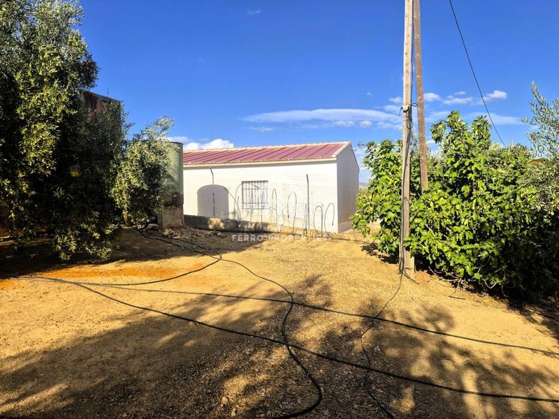 Foto afb95afb-b442-4b77-91ad-d4492ab9162d. Propriété dans Loja