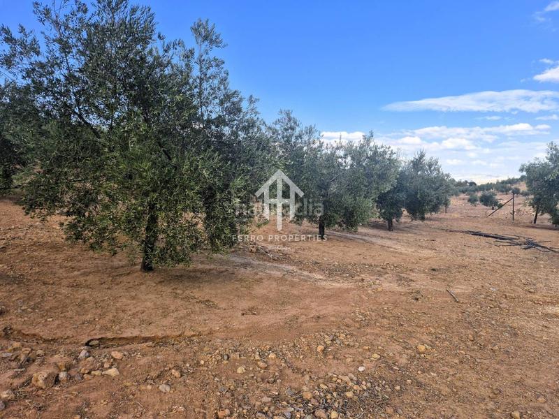 Foto d3454706-1c8d-4df5-98fd-52970b7ed26f. Propriété dans Loja