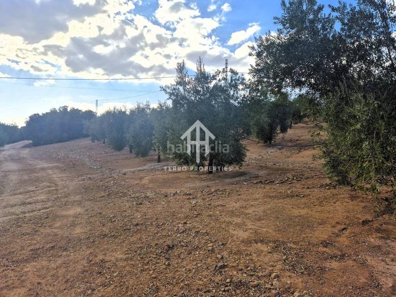 Foto ebfe0390-d6ba-4bc4-a679-bcc536db47b3. Propriété dans Loja