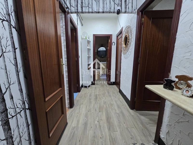 Foto a380d0a2-d9b1-48d9-9fc3-0a7845f318fc. Pis a Rute