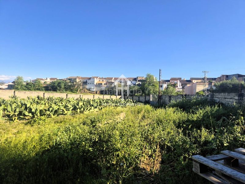 Foto c808c8e2-909e-4a89-b3fb-a8bd7ed09a03. Finca rústica a Íllora