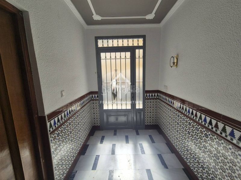 Foto 2032d948-18ec-4ccd-9f2a-9becd61bd75e. Pis a Loja