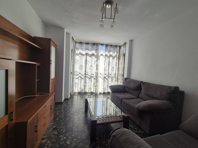 Foto 61633d75-1537-44d2-814b-48f6cb0c9325. Pis a Loja