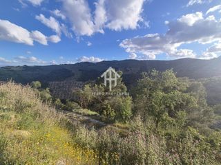Finca rústica en Montefrío. Venta de finca rústica en montefrío