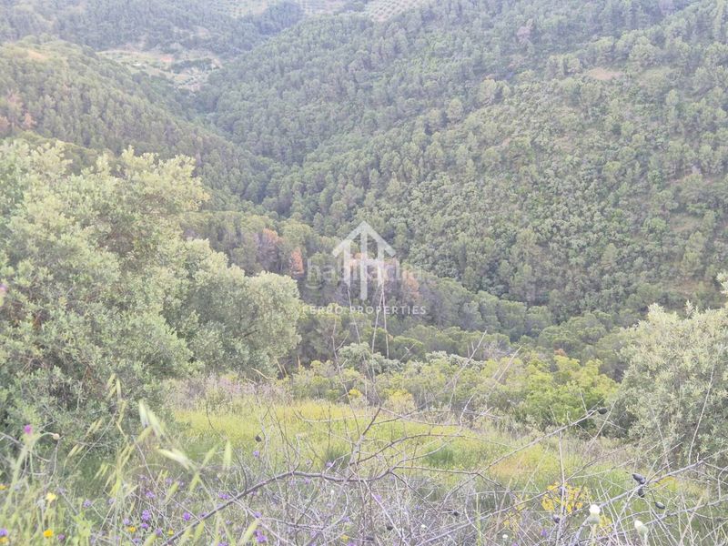 Foto 357d2c6a-6995-4ca5-bced-c70d758daafa. Finca rústica a Montefrío