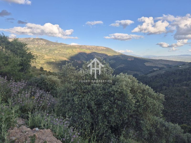 Foto 85c2df36-a18b-4e5e-aa89-304900f79e0a. Finca rústica a Montefrío