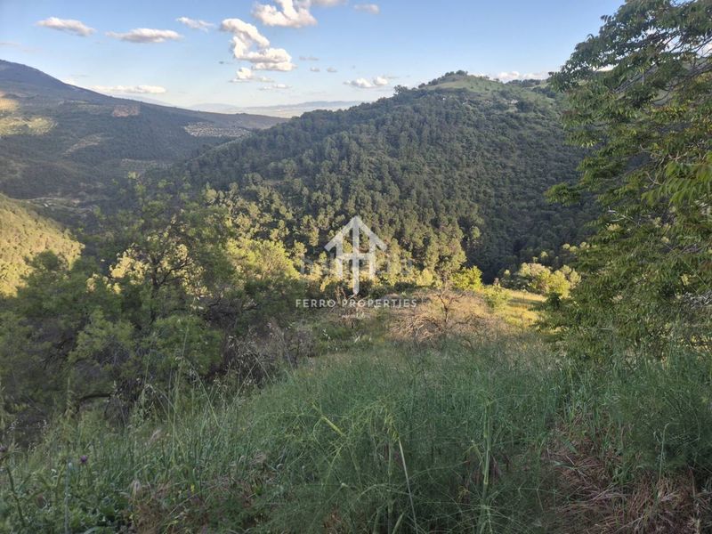 Foto a544a842-a91b-47fc-a155-f73e12f06fad. Finca rústica a Montefrío