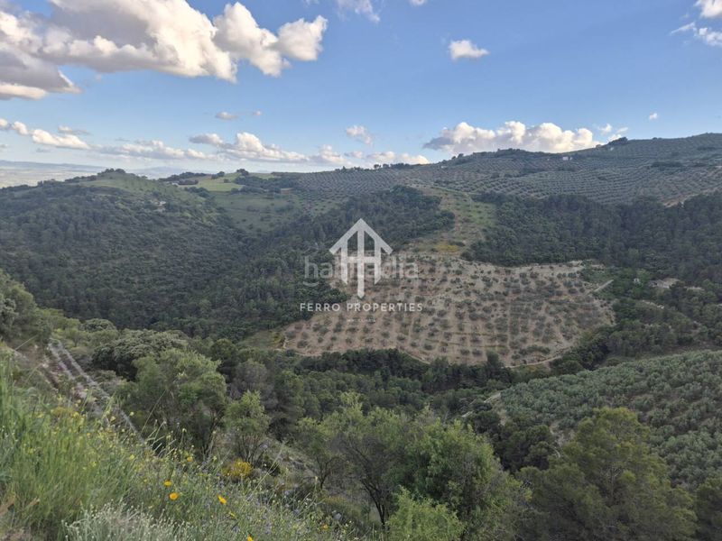 Foto aa36da3a-a385-4da6-9b89-cfa8b8849807. Finca rústica a Montefrío