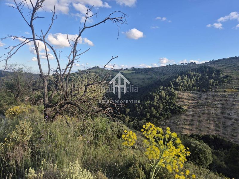 Foto ca21eff8-9651-4eee-9346-8eaeb1553998. Finca rústica a Montefrío