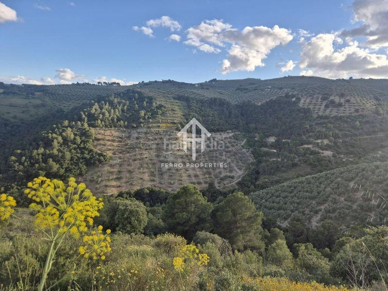 Foto d8e8b3fe-51ce-45d5-afe3-f035b6d4b00b. Finca rústica a Montefrío
