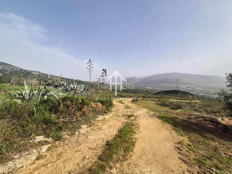 Foto 5e04aa8a-3523-4b94-82de-4971e016ae83. Finca rústica a Loja