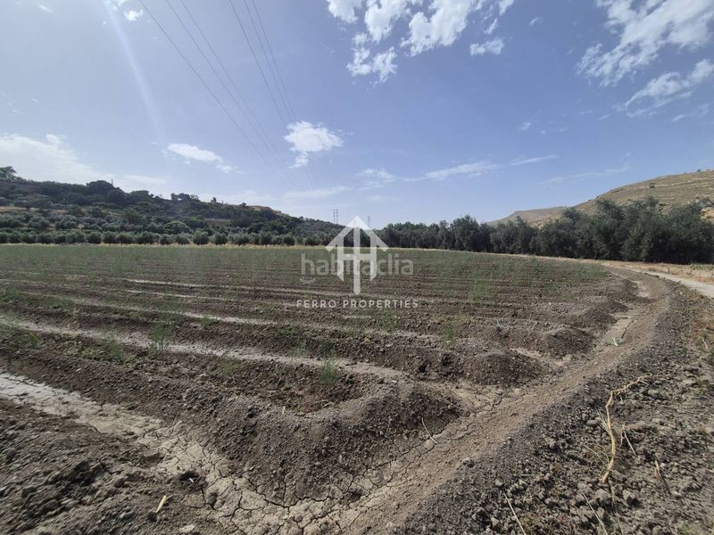 Foto 148db359-99c3-4ac3-b54e-633abd5b949e. Finca rústica a Loja