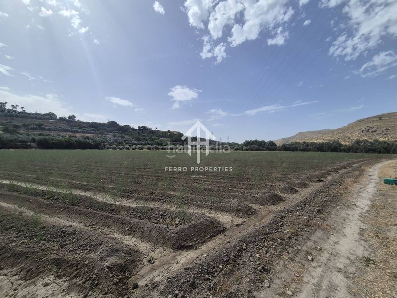 Foto 19f28cfb-46b6-44d5-a0d3-bc1fbdfbd35b. Finca rústica a Loja
