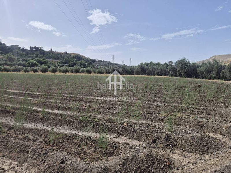 Foto 63c40607-eebe-4d04-9593-4e2f11bb0a46. Finca rústica a Loja