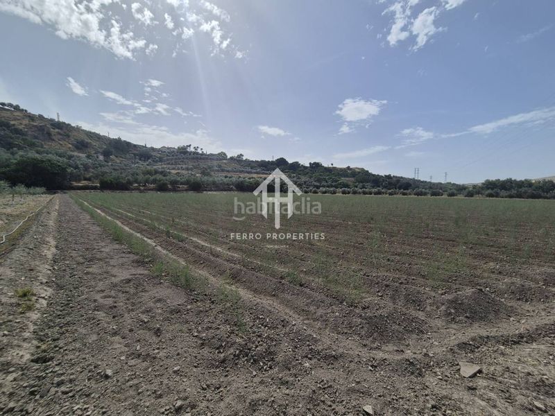 Foto b5beebcd-acbb-4325-a1a4-af34c5c66cac. Finca rústica a Loja