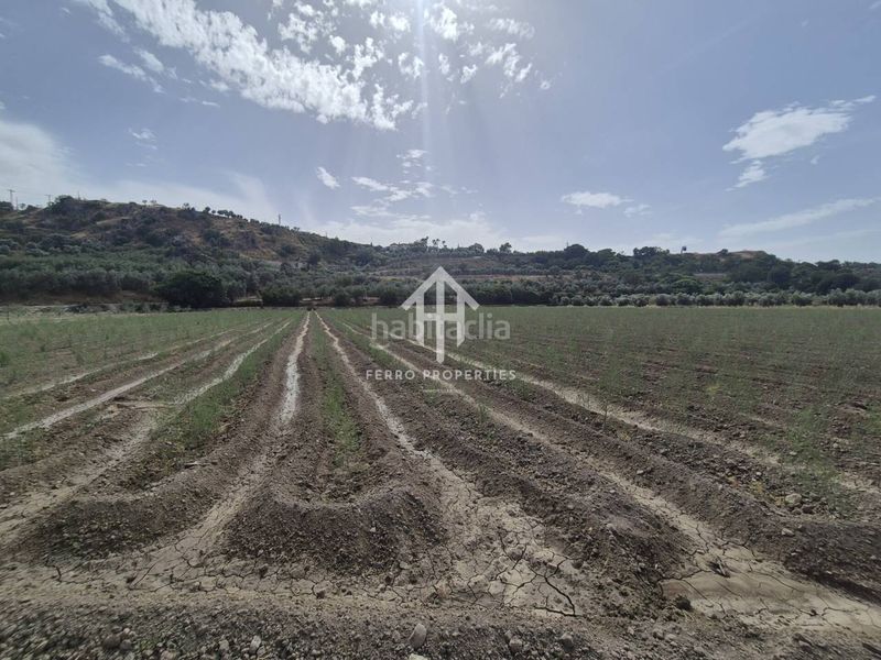 Foto e03cc9bf-291a-4dc6-bbcf-7e8529d69013. Finca rústica a Loja