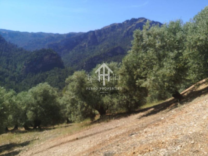 Foto 55be6126-cebc-4d64-b8f1-59a0b9455f85. Finca rústica a Loja