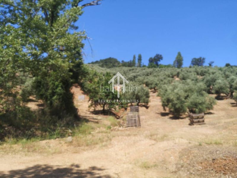 Foto f86024f1-4ded-4345-8669-f51062f18111. Finca rústica a Loja