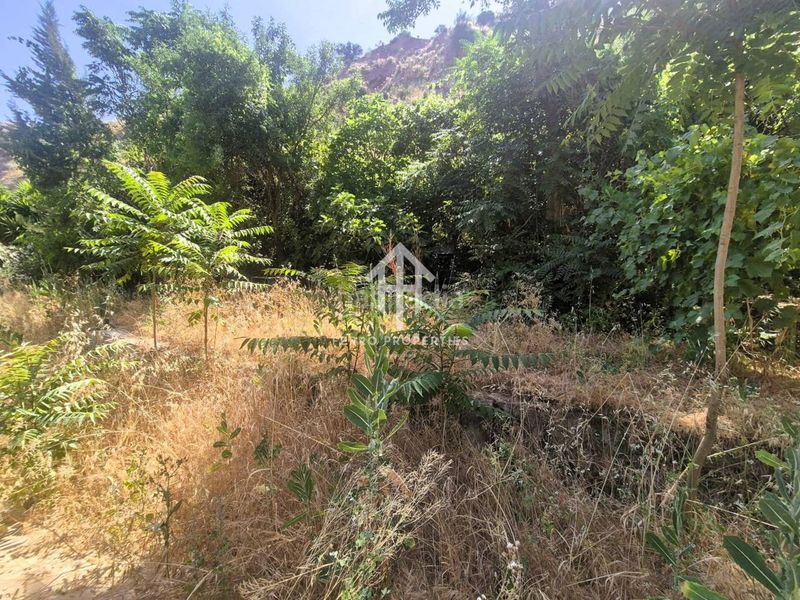 Foto 0bafc0dd-5435-4793-814c-a755efdd5414. Finca rústica venta de finca rústica en Loja