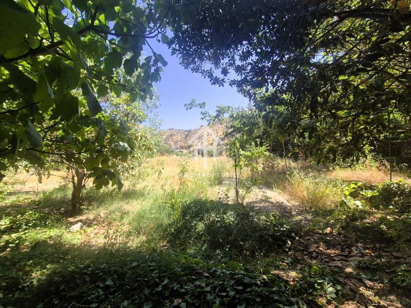 Foto 43a970c6-6055-4f8c-8fc8-fec1b820f3b6. Finca rústica venta de finca rústica en Loja