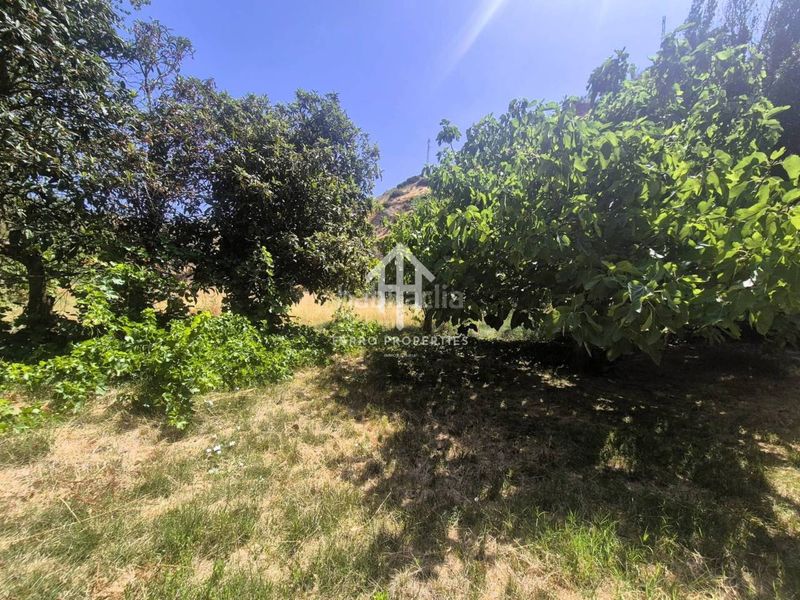 Foto a9340e09-8630-4713-8c44-1a8f3725137a. Finca rústica venta de finca rústica en Loja