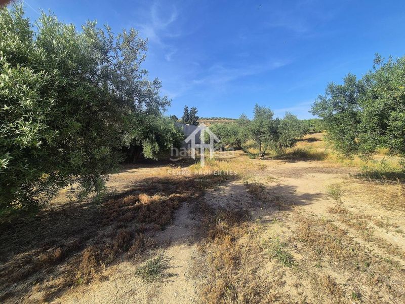Foto b3b2fdb5-601f-487b-bd8d-3d926b653231. Finca rústica a Salar