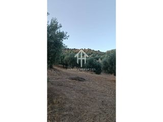 Fondo rustico in Camino yeseros de nivar 1. Terreno rustico secano