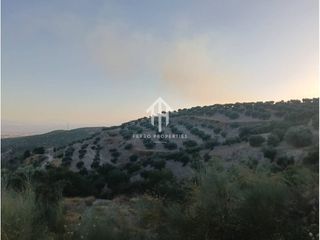 Finca rústica a Camino Yeseros de Nivar 1
