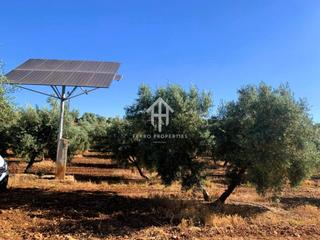 Terreny residencial a Loja. Venta de finca rústica en loja