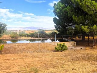 Finca rústica en Moraleda de Zafayona. Finca rústica de regadío con olivos en producción  zona pantano