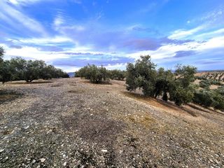 Finca rústica en Huétor Tájar. Venta de finca rústica en huétor tájar